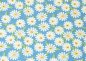 Preview: Hello Margy, jersey with daisies for children by Hilco and JaTiJu