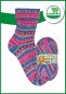 Preview: Opal Schafpate 14 Sockenwolle Winterweide Saisonaler Schaftrieb, Farbverlaufsgarn für Socken