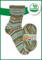Preview: Opal Schafpate 14 Sockenwolle Winterweide Zugfreier Unterstand, Farbverlaufsgarn für Socken