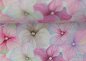 Preview: Fiete Nano-Softshell mit Veilchen in rosa Blumenstoff von Swafing für Damen