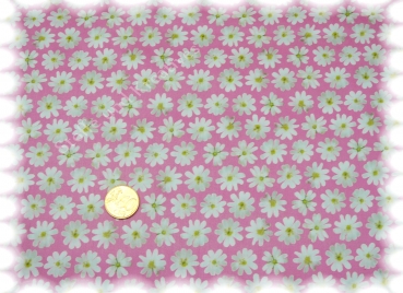 Margaridas cotton poplin flowers pink Hilco 50 cm