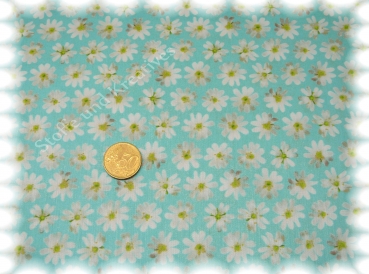 Margaridas cotton poplin flowers turquoise Hilco 50 cm