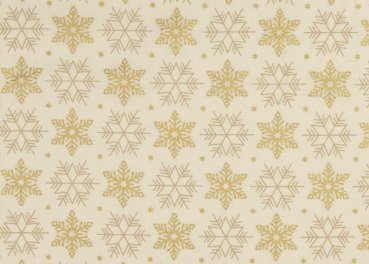 Big Stars Weihnachtsstoff  in ecru Baumwolle Webware mit Blumen, Sterne und Punkte
