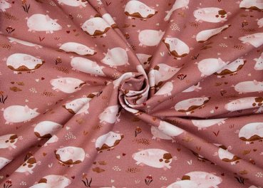 Fancy Piggy jersey with small pigs for children by Hilco