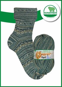 Opal Schafpate 14 Sockenwolle Winterweide Wolliger Winterschutz, Farbverlaufsgarn für Socken
