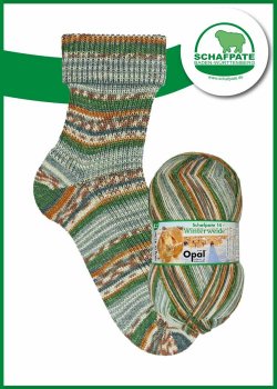 Opal Schafpate 14 Sockenwolle Winterweide Zugfreier Unterstand, Farbverlaufsgarn für Socken