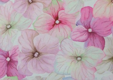 Fiete Nano-Softshell mit Veilchen in rosa Blumenstoff von Swafing für Damen