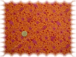 Elena Baumwolle Popeline orange Paisley